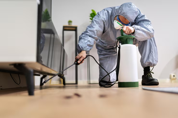 Intervention antinuisible à domicile