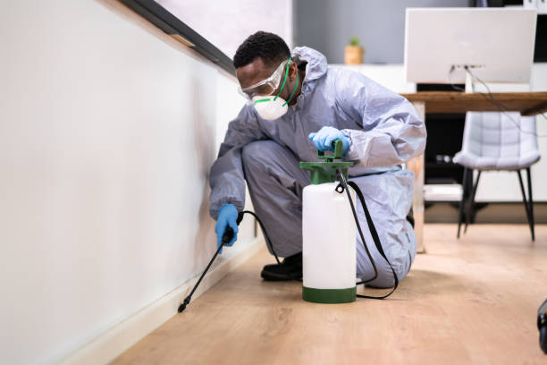 Traitement professionnel ciblé